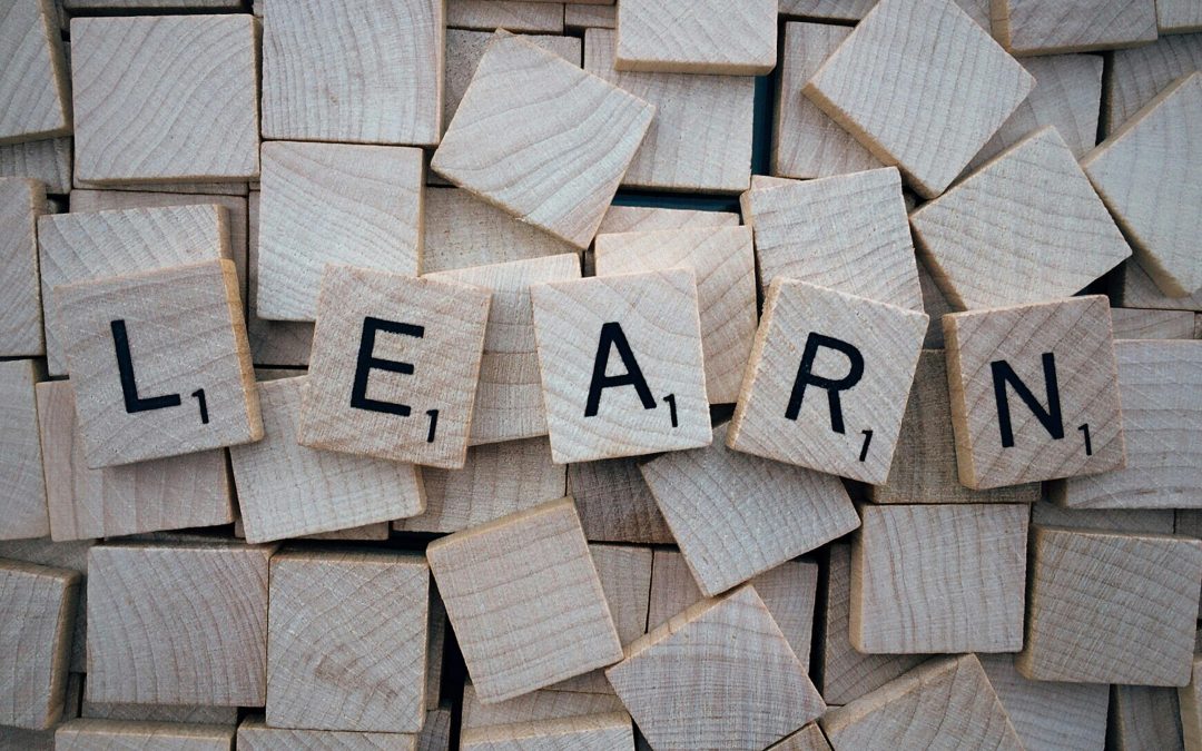 The Perpetual Student: Why Leaders Must Never Stop Learning