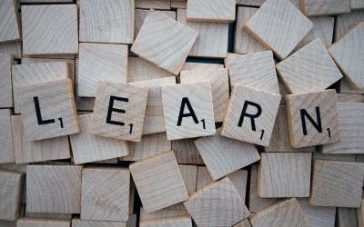 The Perpetual Student: Why Leaders Must Never Stop Learning