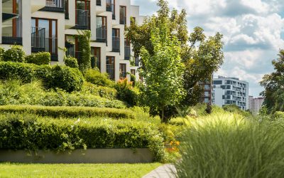 Navigating Economic Uncertainty: How Real Estate Developers Can Thrive During Market Volatility